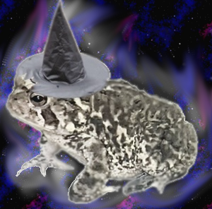 The Legendary Galaxy Toad Wizard